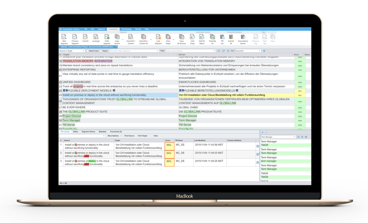 translation-memory-term-management